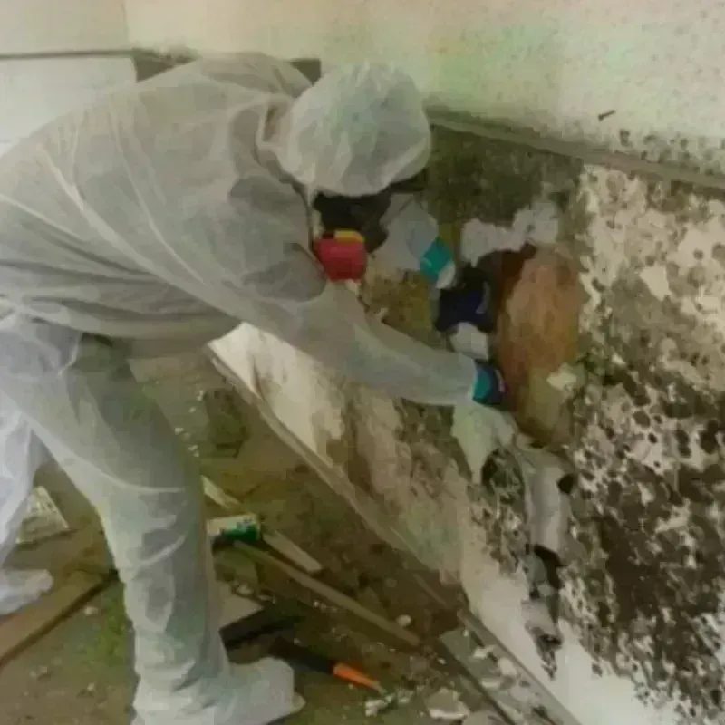 Mold Remediation and Removal in Brunswick County, NC